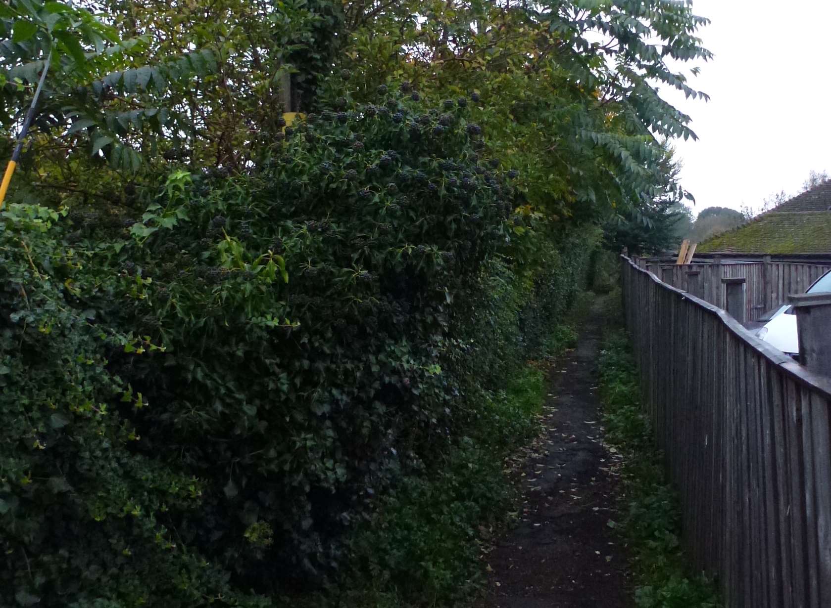 A woman was sexually assaulted in an alleyway off Berengrave Lane, Rainham