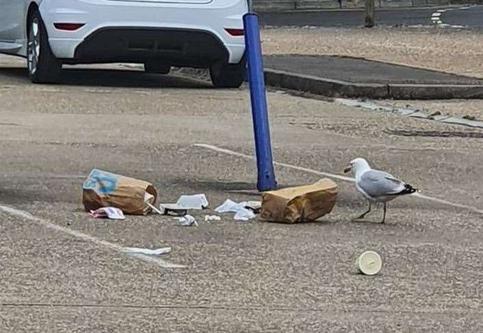 Littler left behind at McDonald's on Hart Street in Maidstone. Picture: Jemima Wyrill