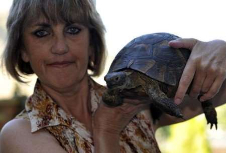 Jane Deslandes and Fred the tortoise with nine lives