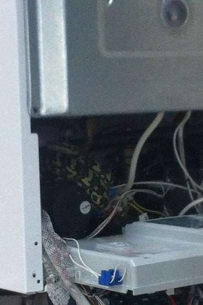 The python was found in the boiler of the family's new house
