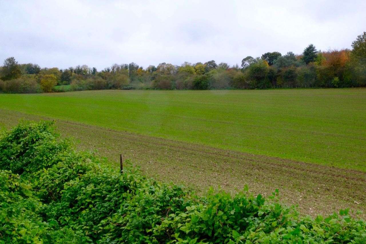 The land where 70 homes will be built in Preston Fields, Faversham