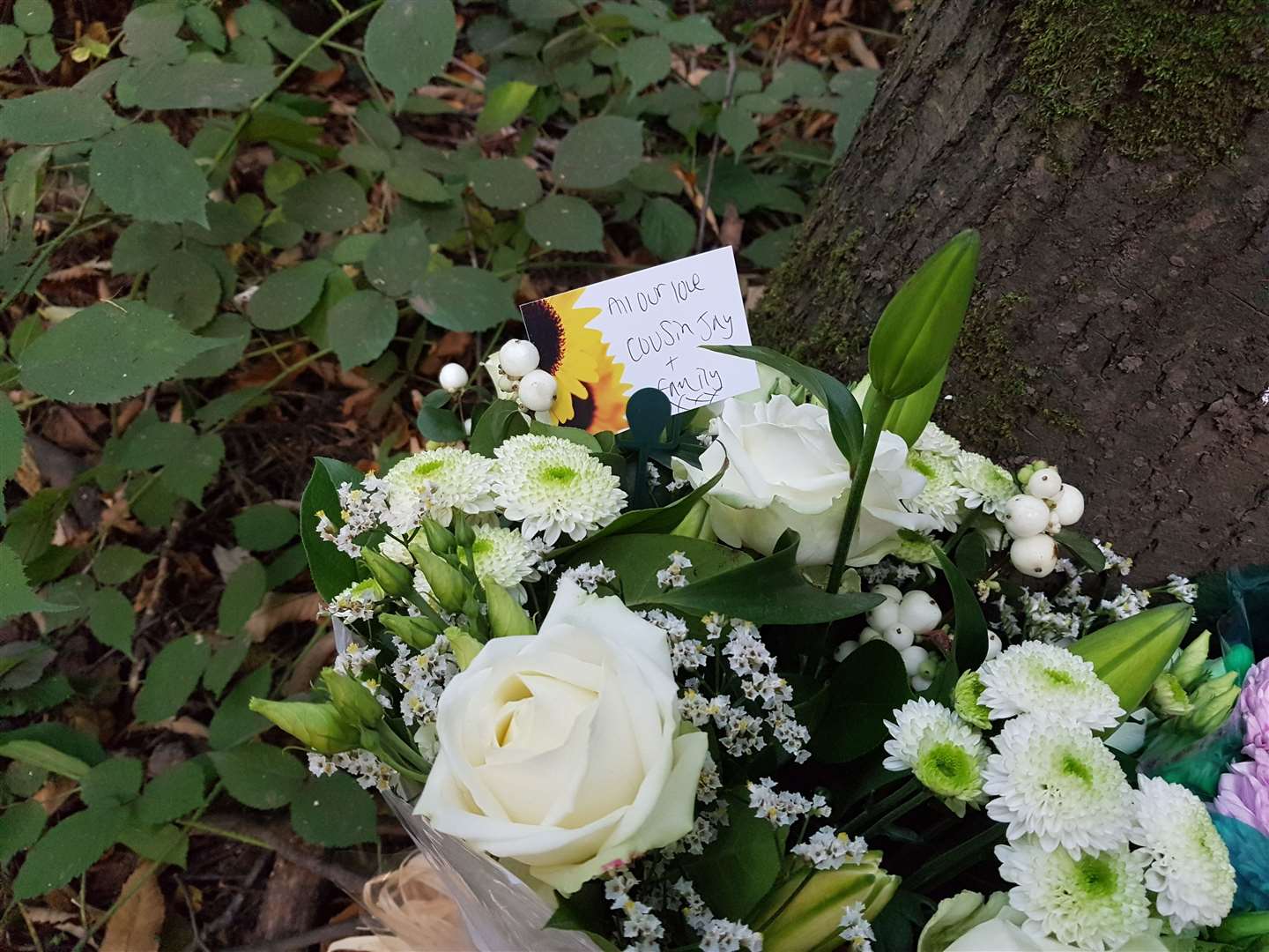 Floral tributes left at the scene of the crash in Kingswood (42351641)