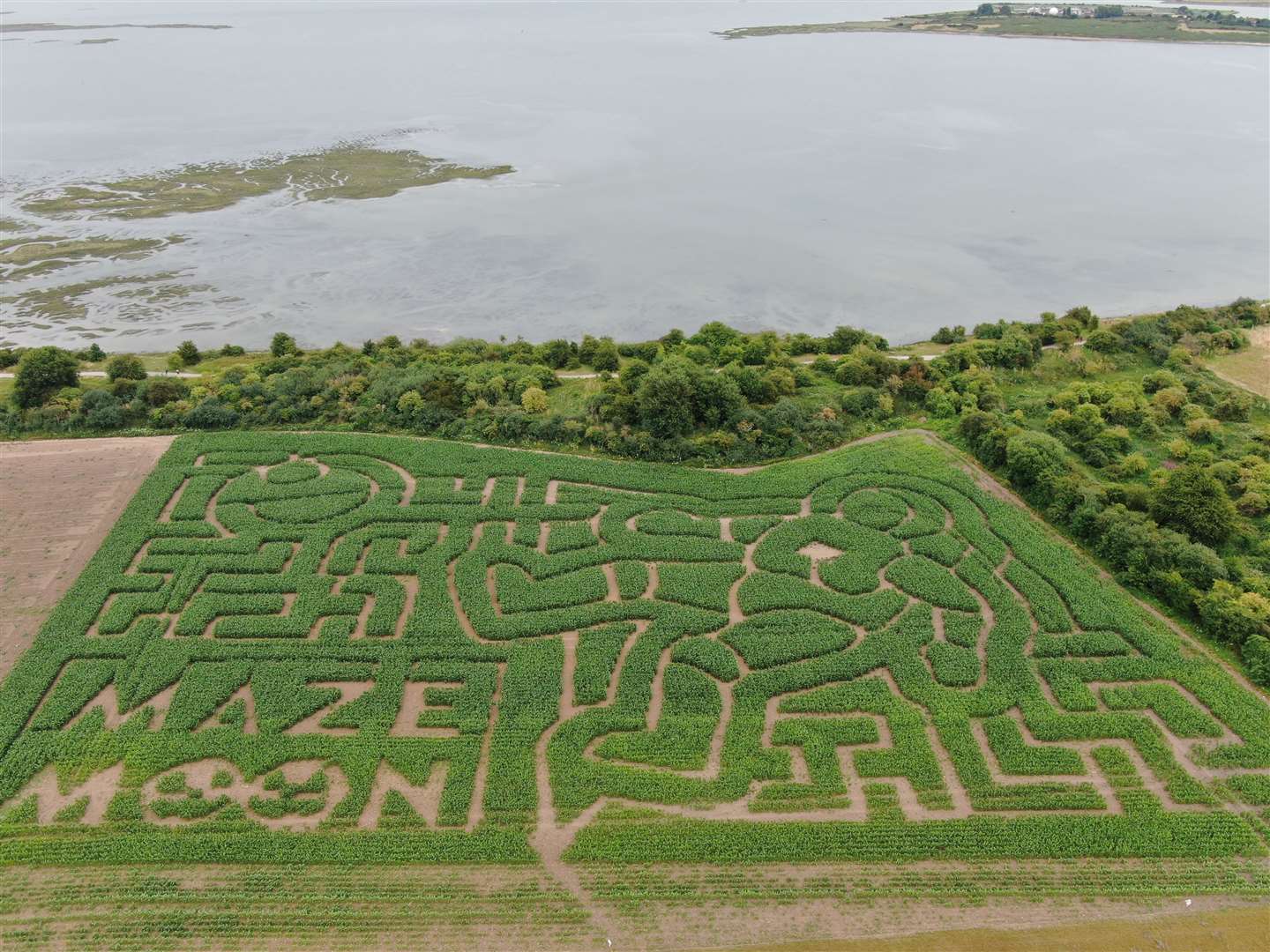 Enjoy a fun family day out at this year's Maze Moon mazes. Photo: James Kemsley