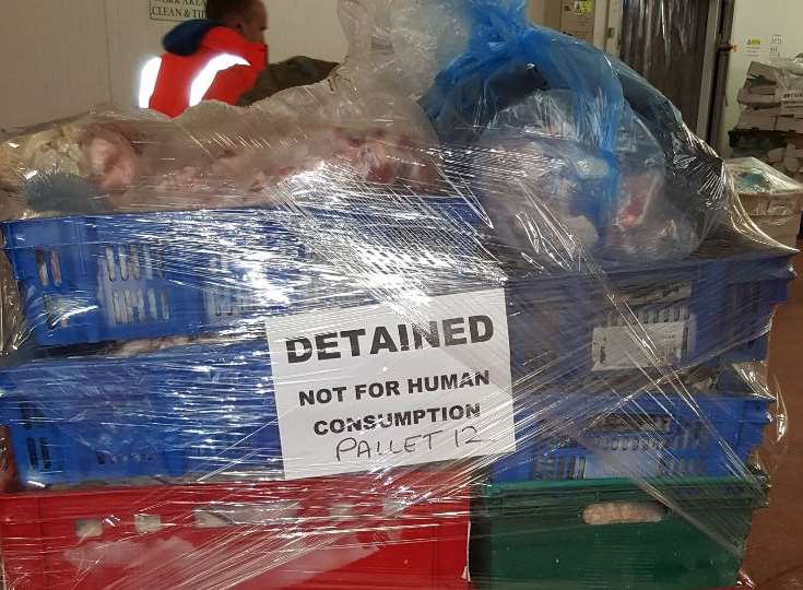 The meat was marked not for human consumption
