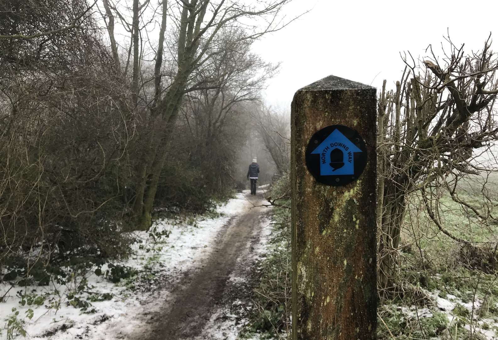 The North Downs Way in Kent is among the many routes that have seen more walkers during lockdown