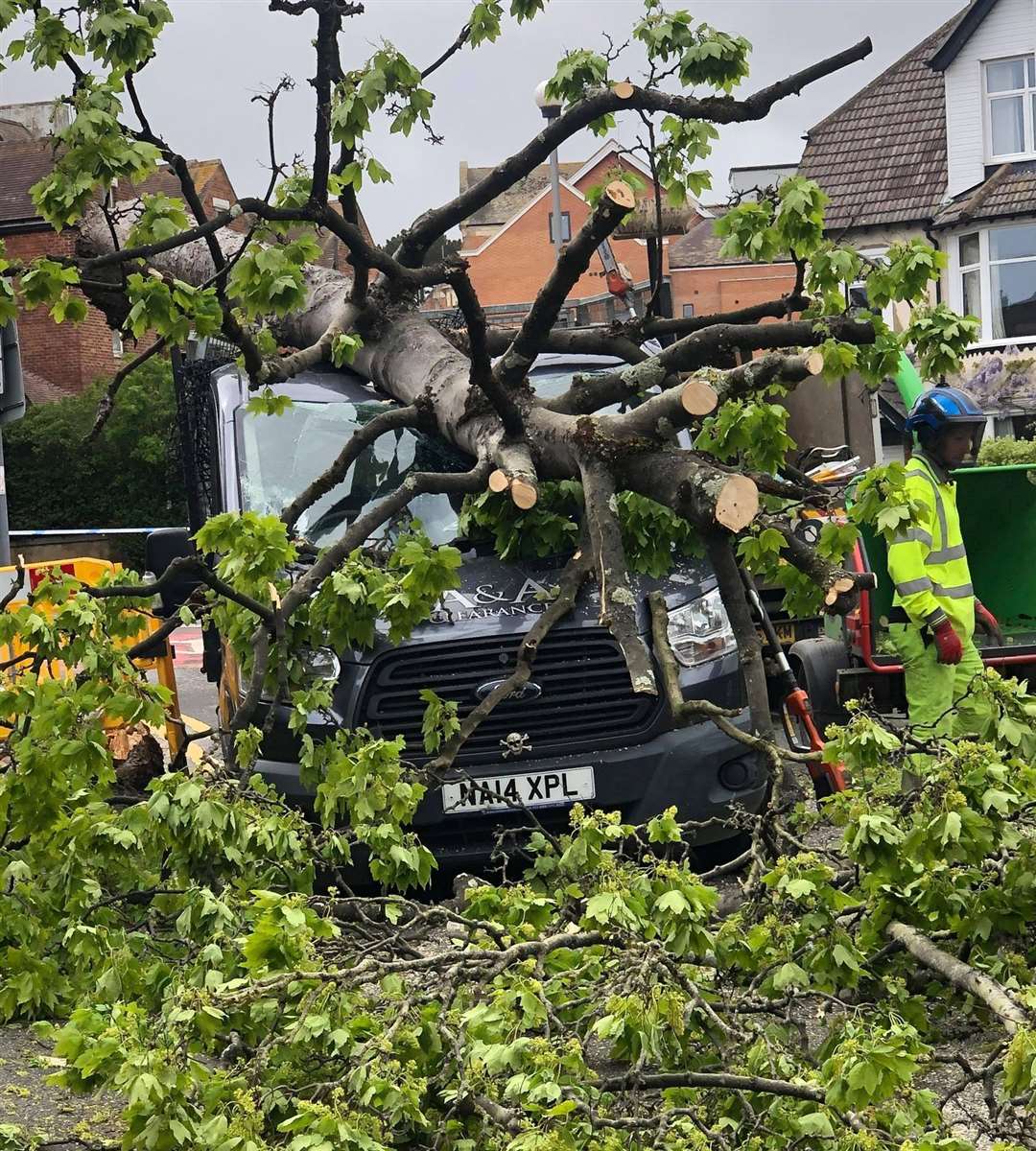 A tree has crushed a van in Folkestone this afternoon in high winds. Photo: Peter Phillips