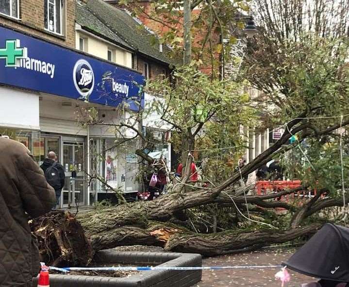 A tree crashed to the ground in Gillingham High Street. Pic Bonnie Young via Medway People Group