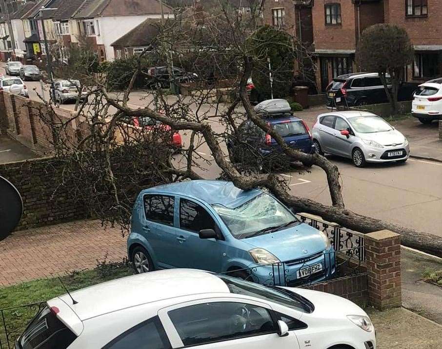 A tree damaged a car in Tufton Road (54984484)
