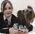 Laura Maidment with Belle who is mothering a litter of kittens