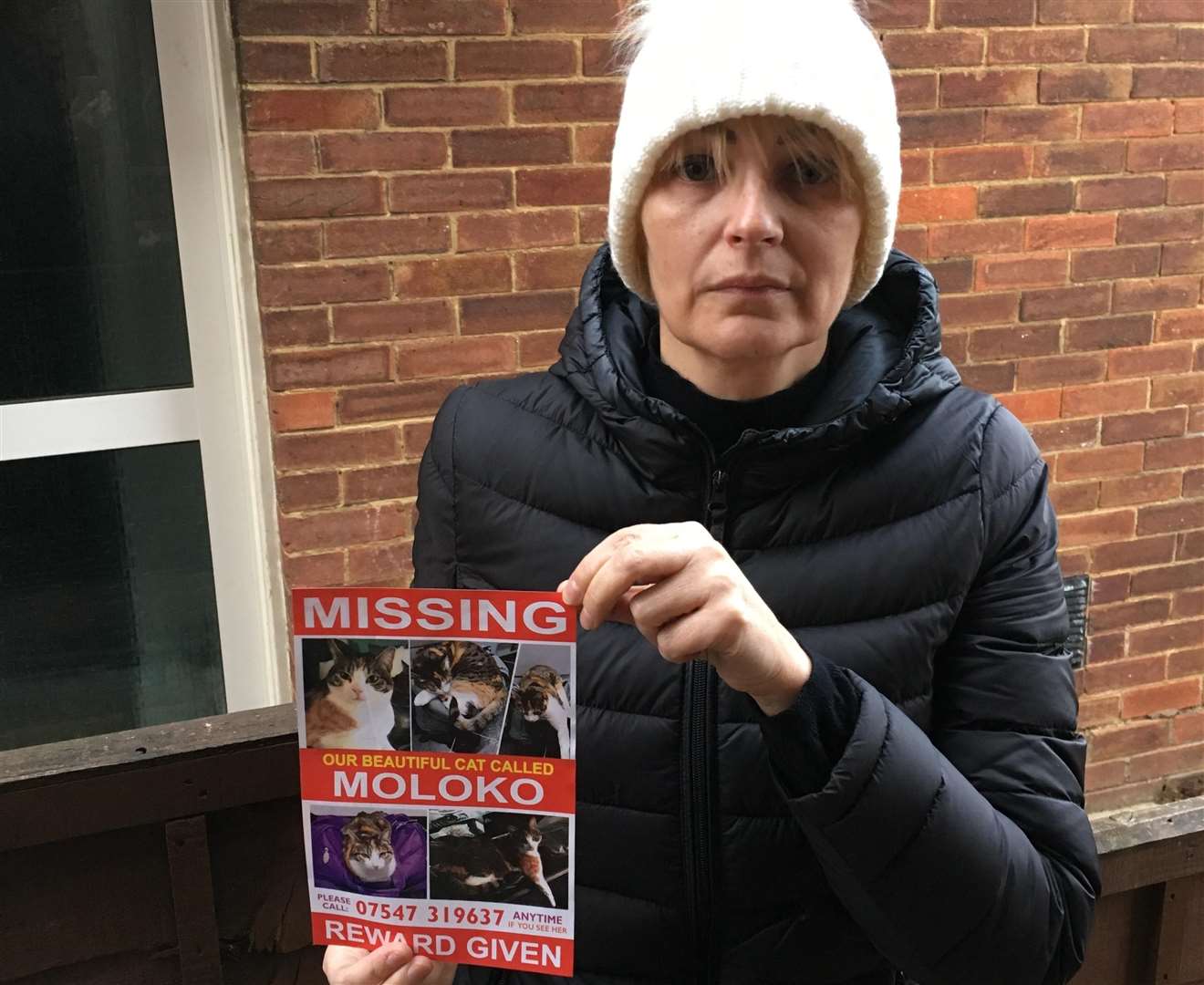 Alison High with her missing cat poster (6914659)