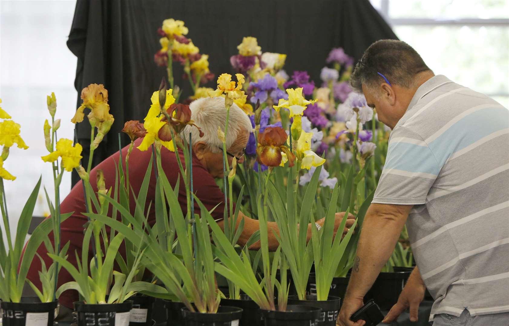 The Kent Garden Show at Detling