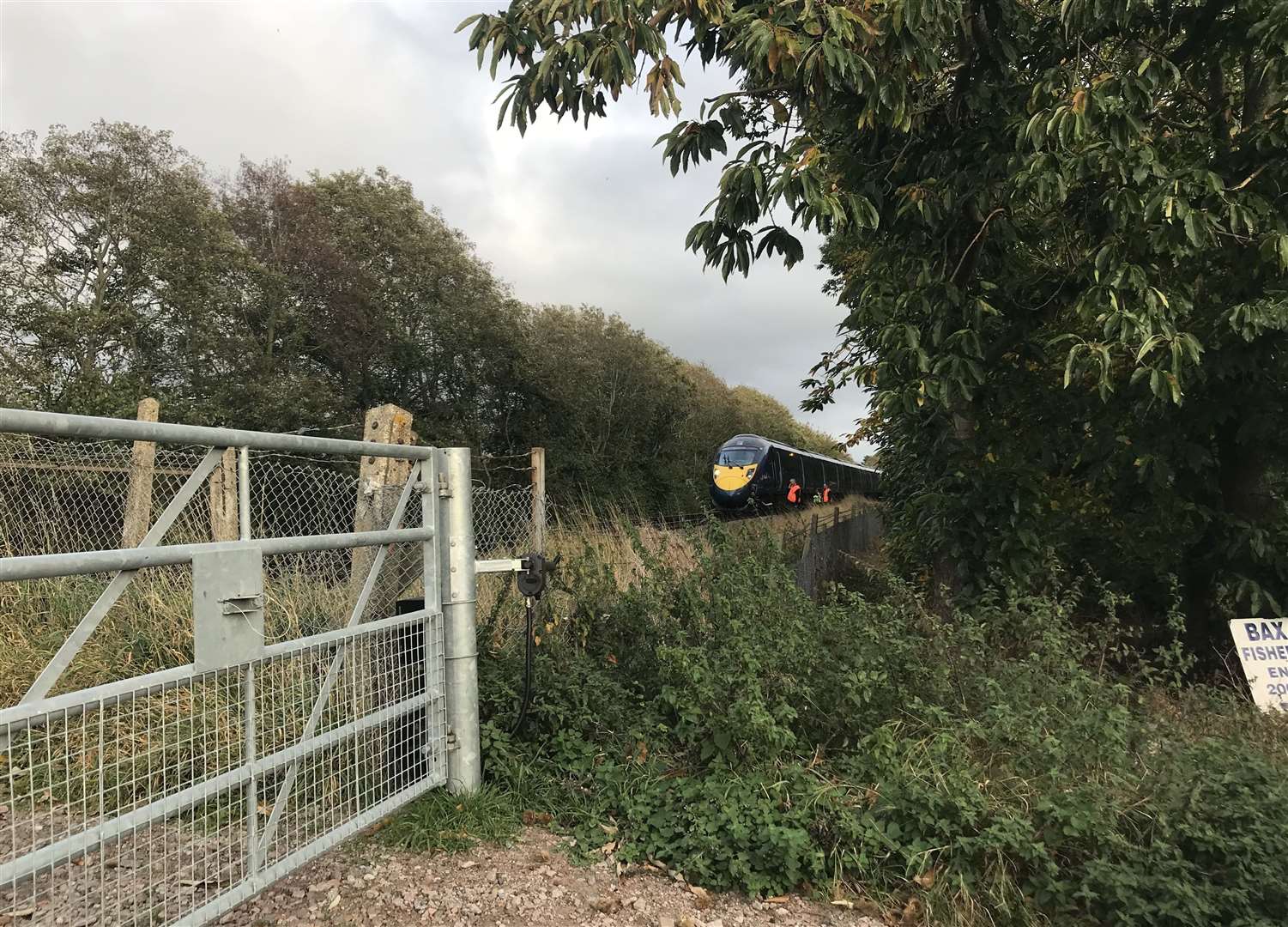 The van and train crash at the Frognal Farm level crossing in Teynham in 2017