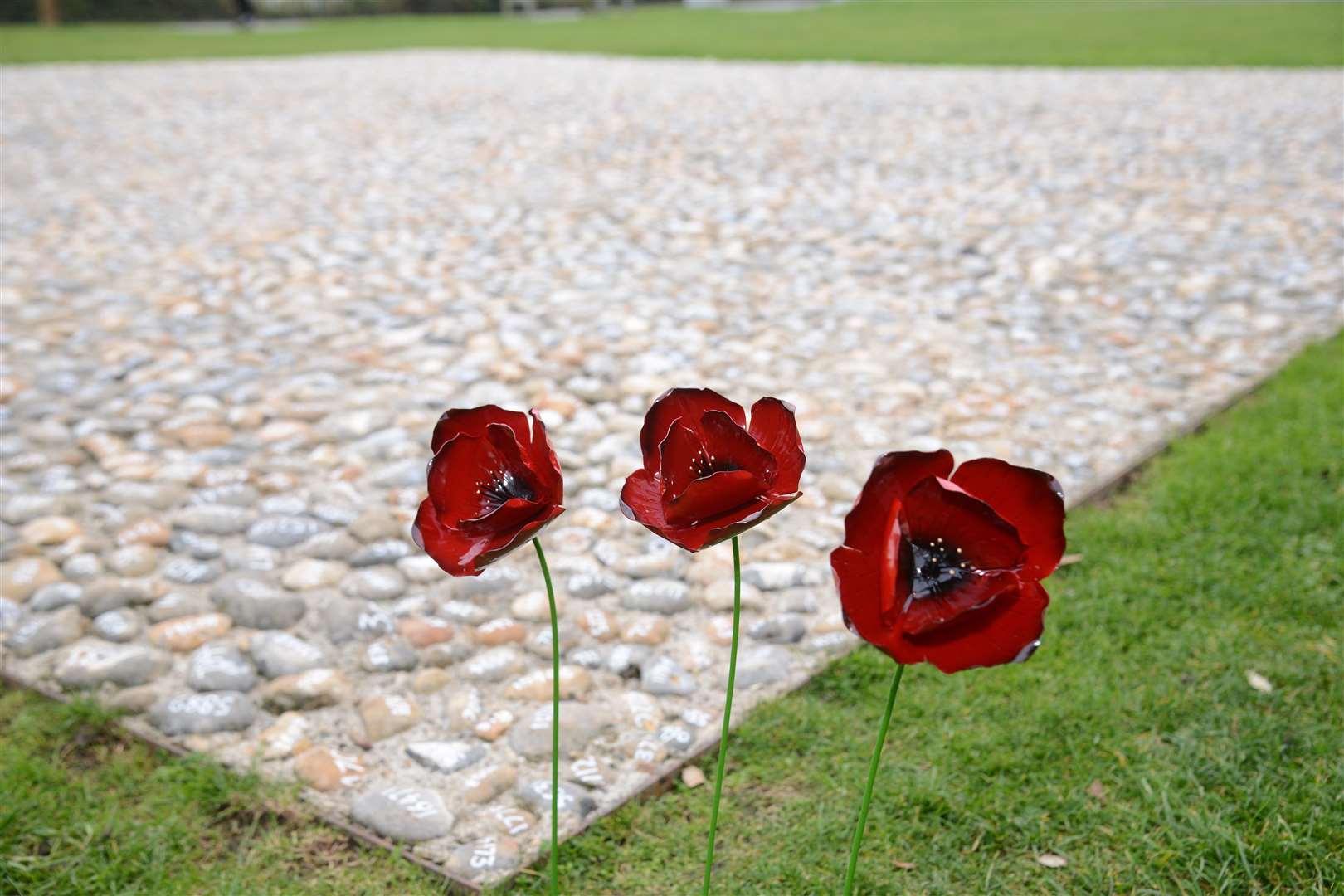 The idea to 'flood The Leas with poppies' is to mark the end of the Battle of the Somme. Picture: Gary Browne