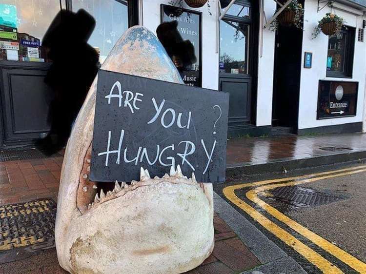 The shark head in Tunbridge Wells has become a famous geocaching find
