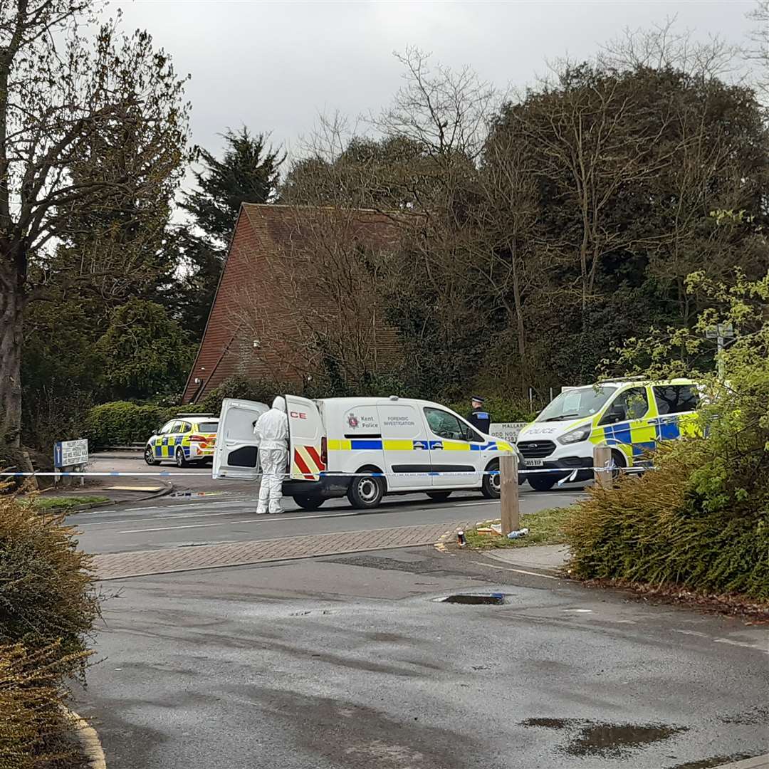 Police in Temple Hill after a man died from a stab wound. Picture: Sean Delaney