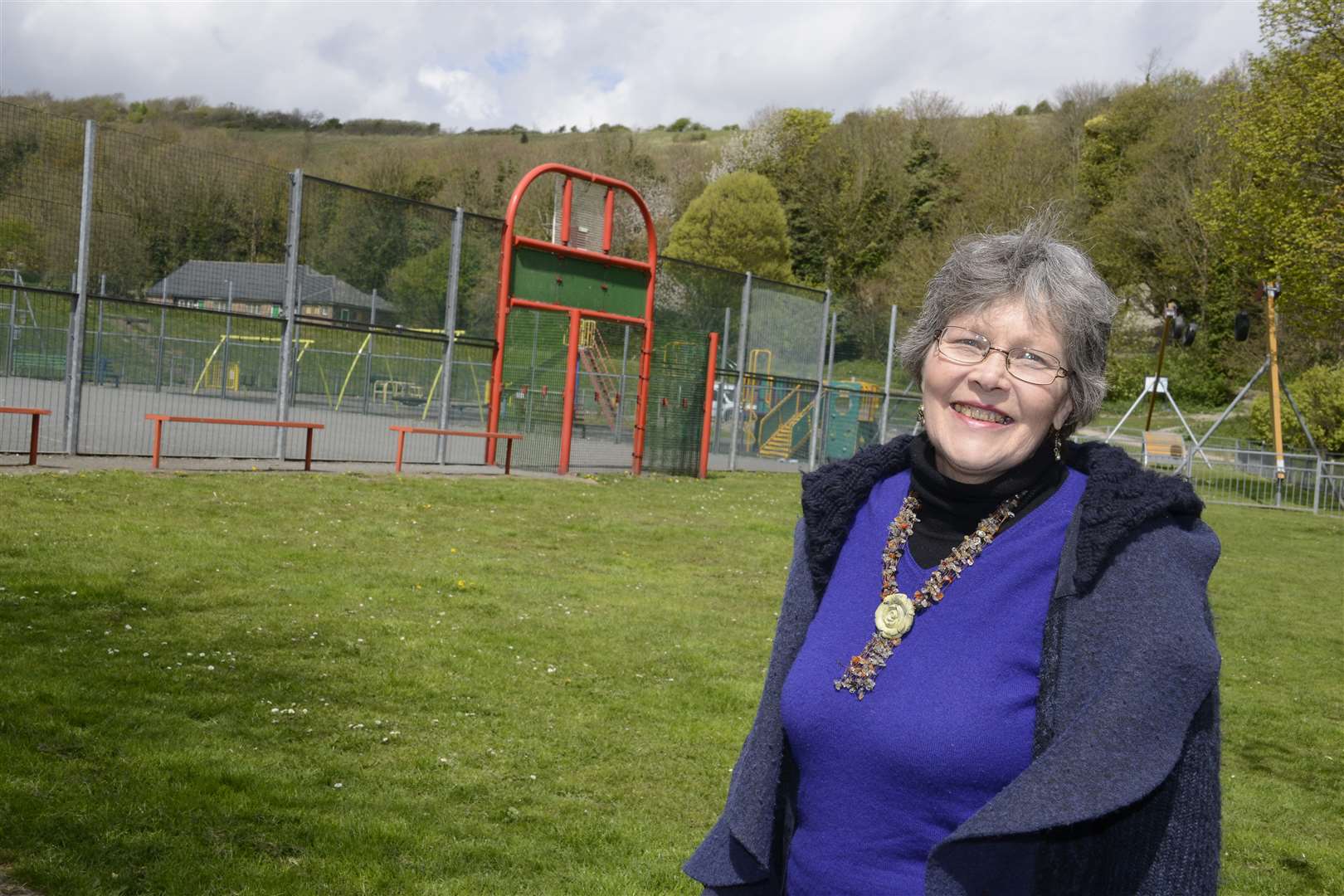 Geraldine Aldridge has called for a skate park to be built next to the Elms Vale recreation ground.