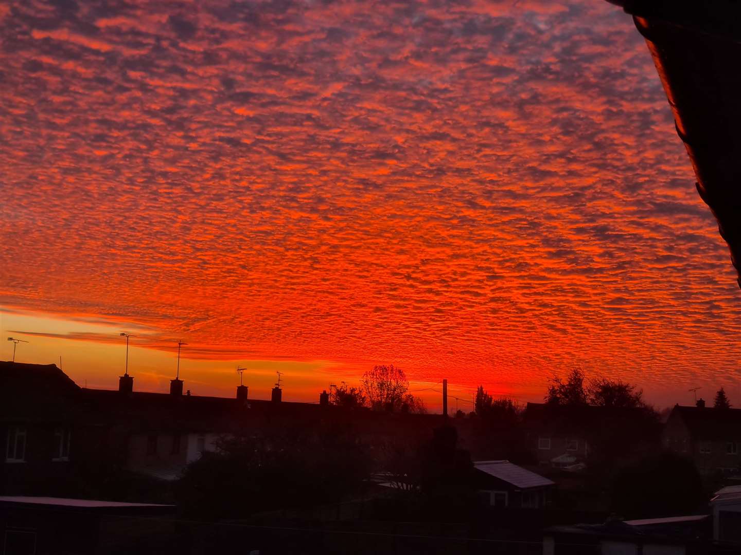 Sunrise over Rainham this morning. Picture: Mia Sosseh