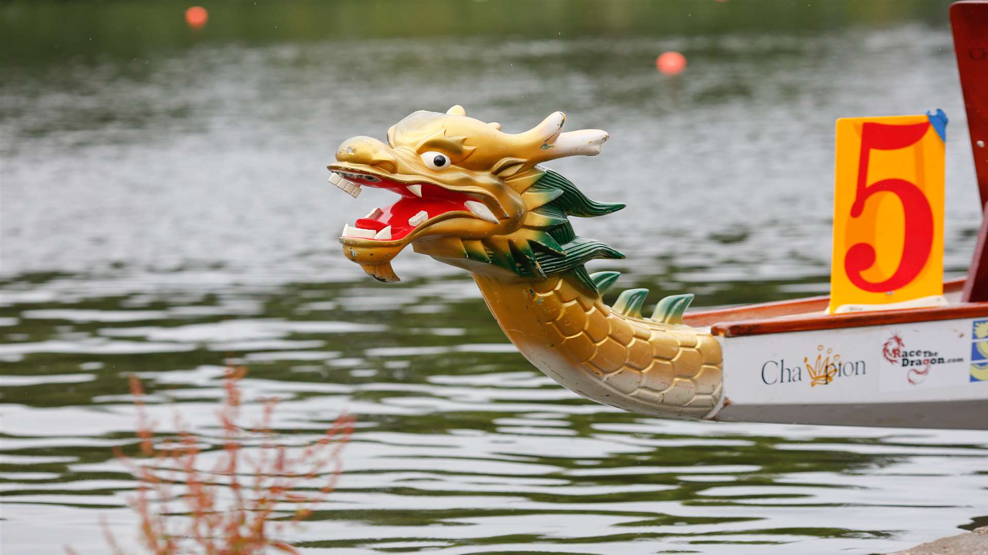 Spectators can watch for free at the KM Dragon Boat Race 2017 at Mote Park, Maidstone on July 2.