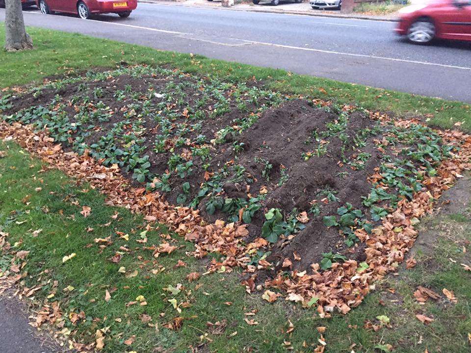 The tyre tracks through the flower bed at Radnor Park in Folkestone