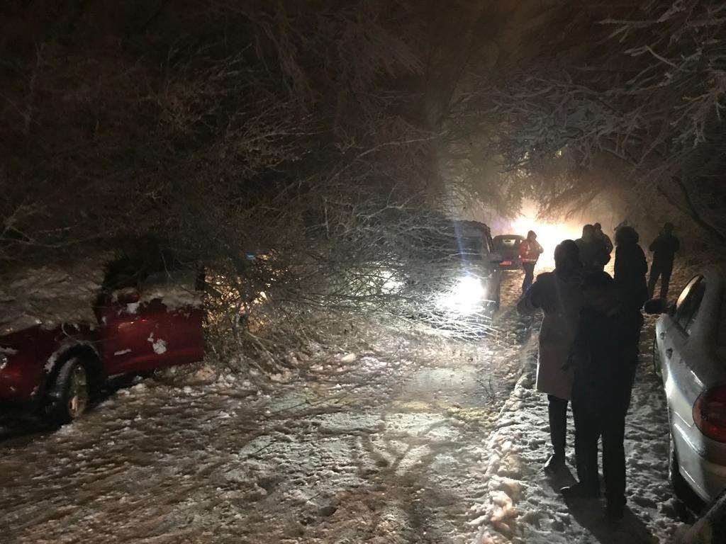 Debbie and Wayne Cooley's car got trapped under a tree in Walderslade Woods Road, on Friday February 1. Pic from Debbie Cooley. (6968347)