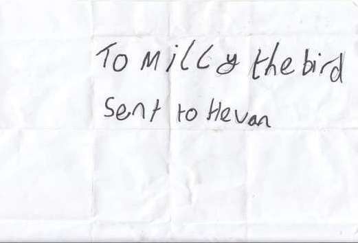 Alfie wrote a letter to 'Heaven' after his beloved parrot, Milly, died
