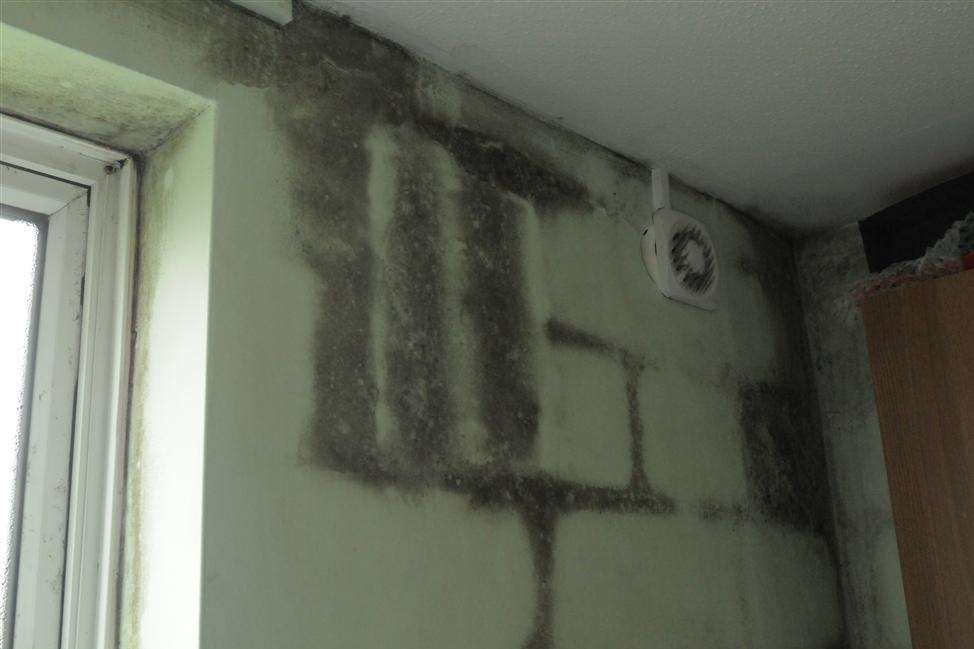 Evidence of the mould in the family's Gillingham flat