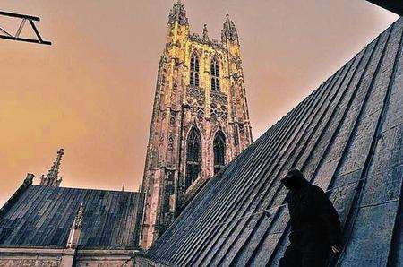 An urban explorer scales Canterbury Cathedral and posts pictures on his blog