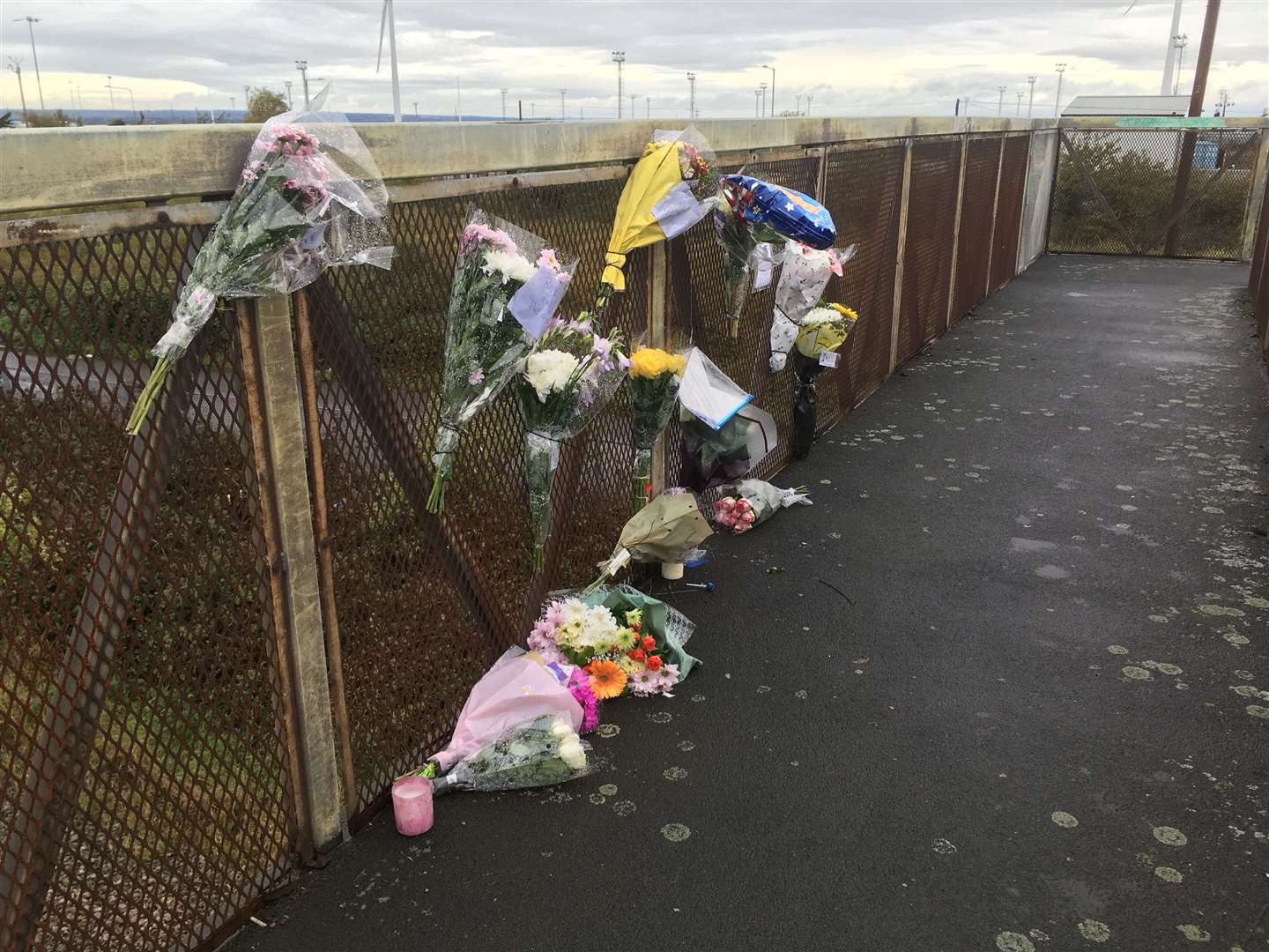 Train death: tributes to Ellis Murphy-Richards, 15, who died after falling from a railway bridge at West Minster