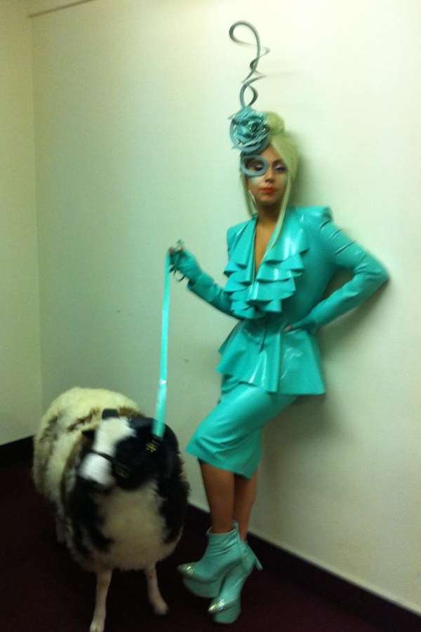 Kev the sheep, from Smarden, pictured with Lady Gaga during his appearance on the Jonathan Ross Show