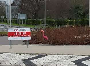 The controversial roundabout had some unusual additions this morning. Picture: Charley Turnbull