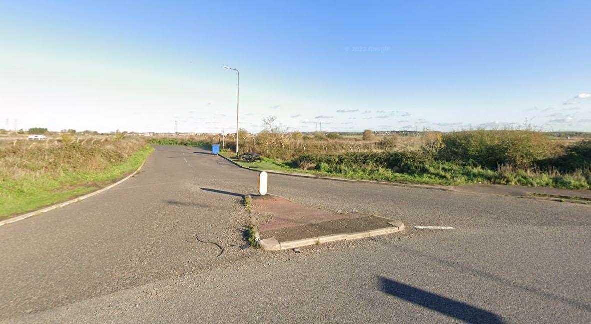 The puppies were dumped in Cromwell Road, Sheerness. Picture: Google