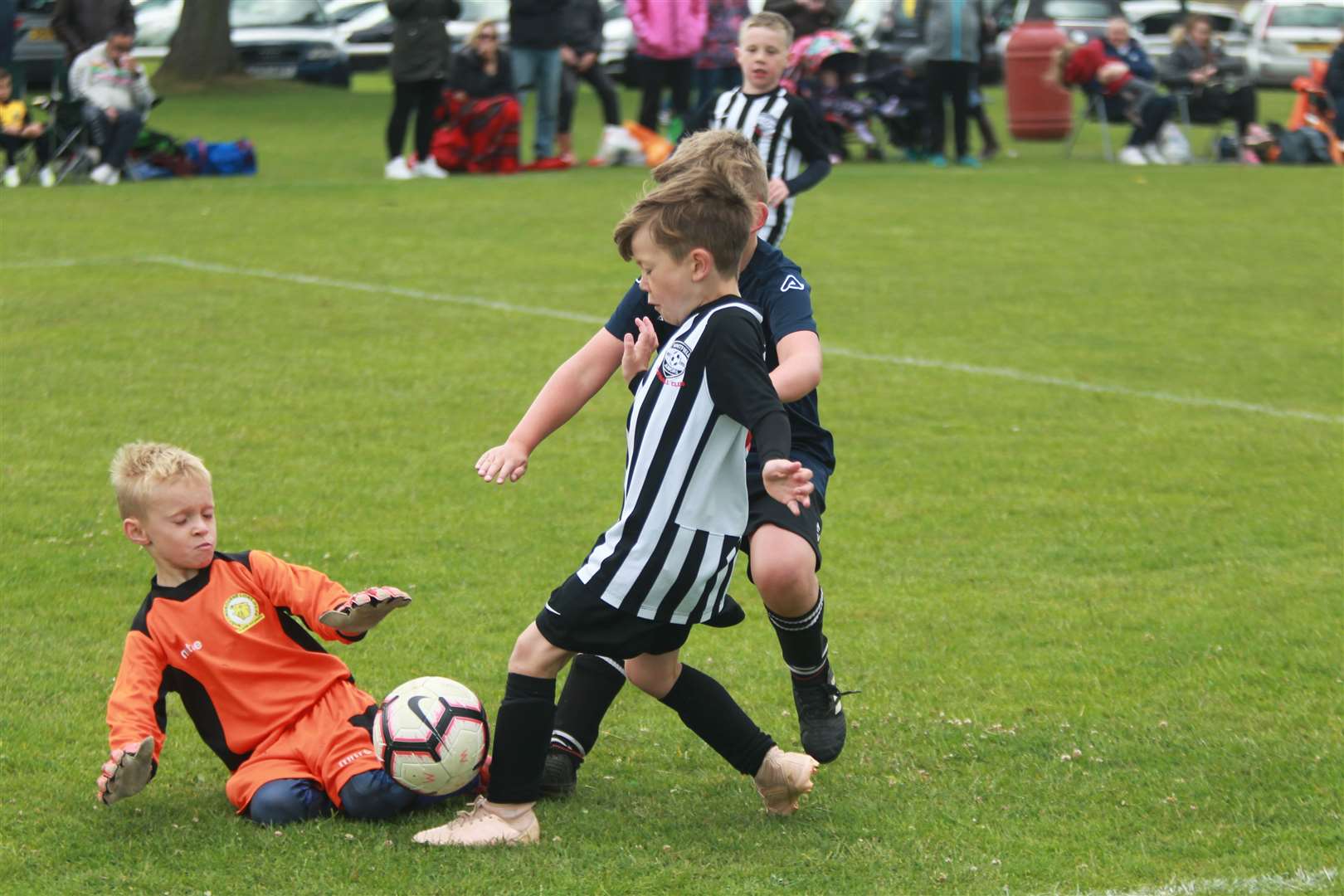 Whitfield Juniors in the black and white strip in action Picture: John Westhrop