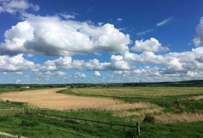 Now you see it...but soon you won’t – the fields set to be turned into the Cleve Hill solar farm