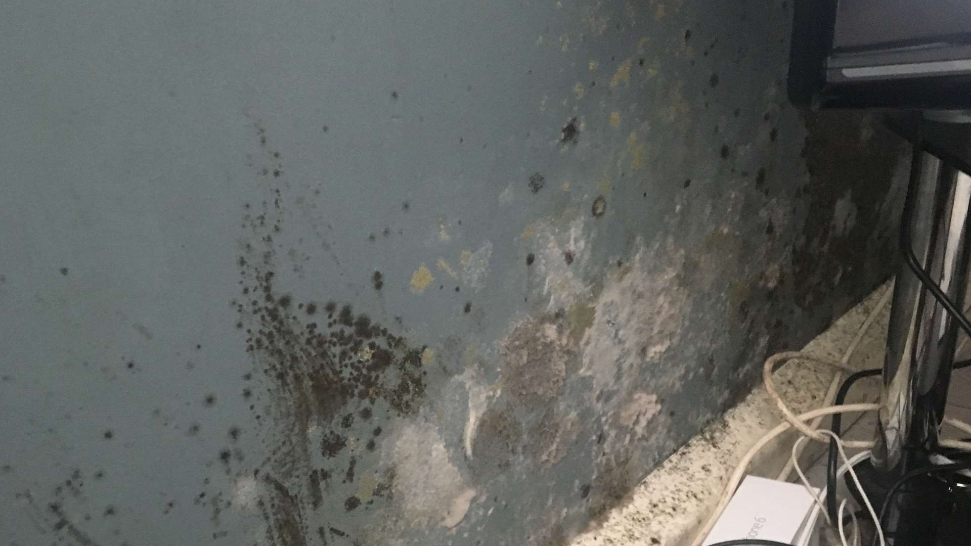 A council home is mould-infested, according to the mum-of-two who lives there