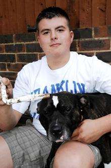 Ty, the Staffordshire Bull Terrier who chewed through a gas pipe in Gravesend