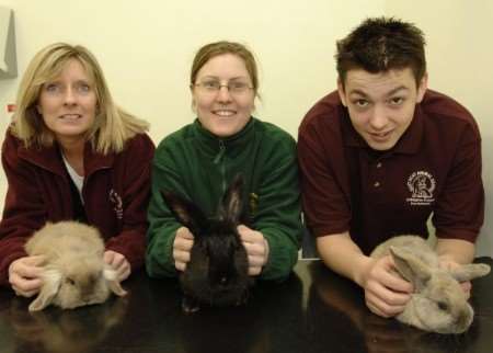 Charlotte Brown, Charity Brown and Joe Kimpton with rabbits promoting the RSPCA pet microchip offer