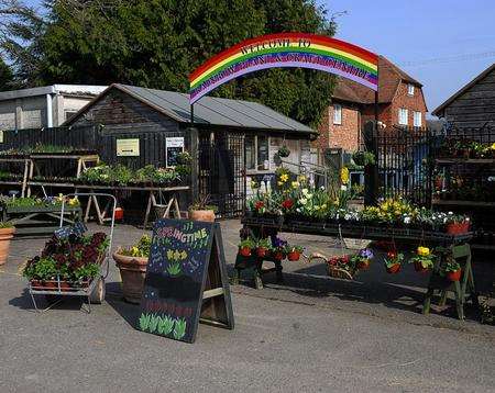 The plant shop selling produce from the Rainbow Nursery