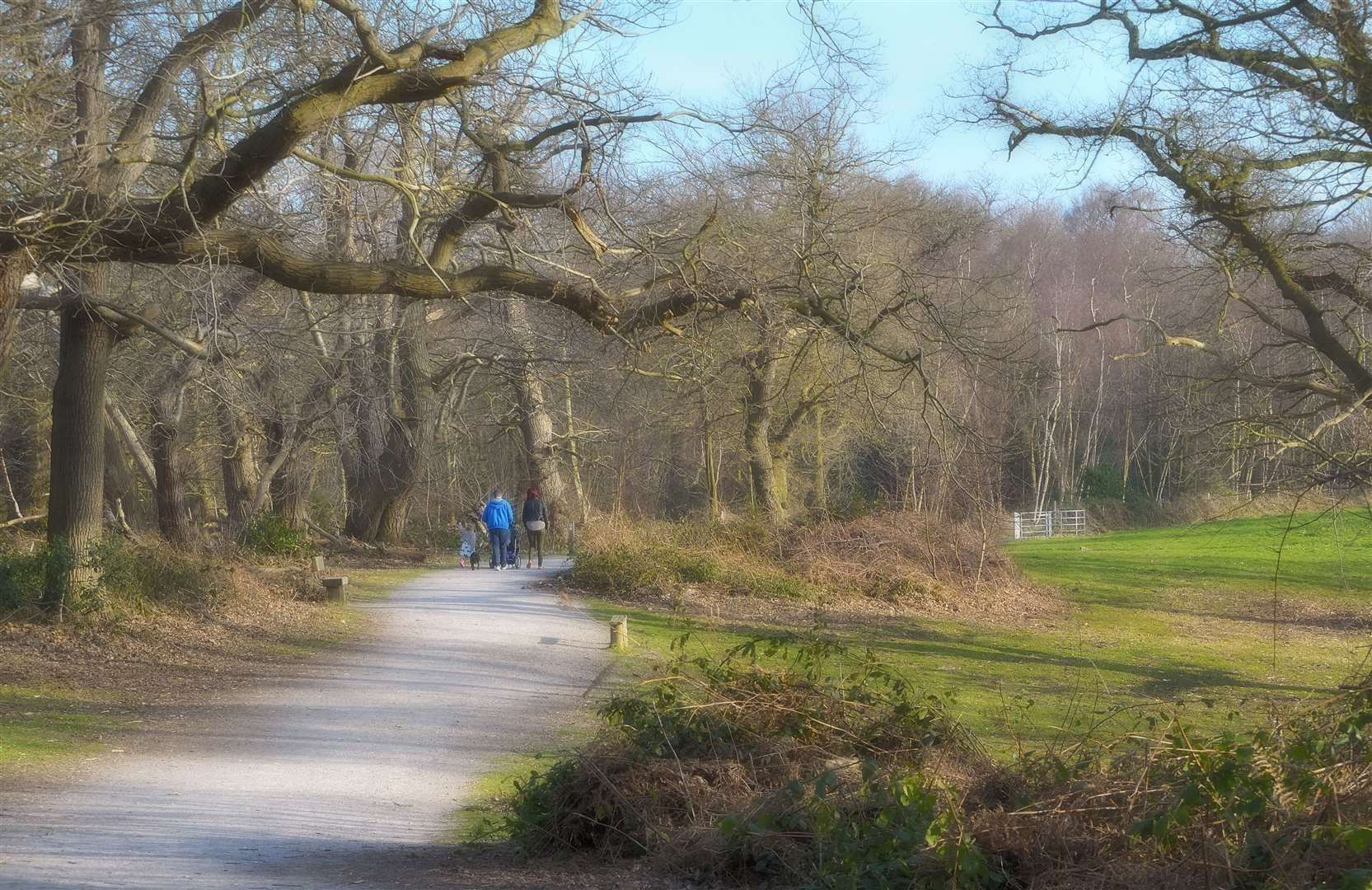 It's feared the Lower Thames Crossing will destroy some of Kent's ancient woodland