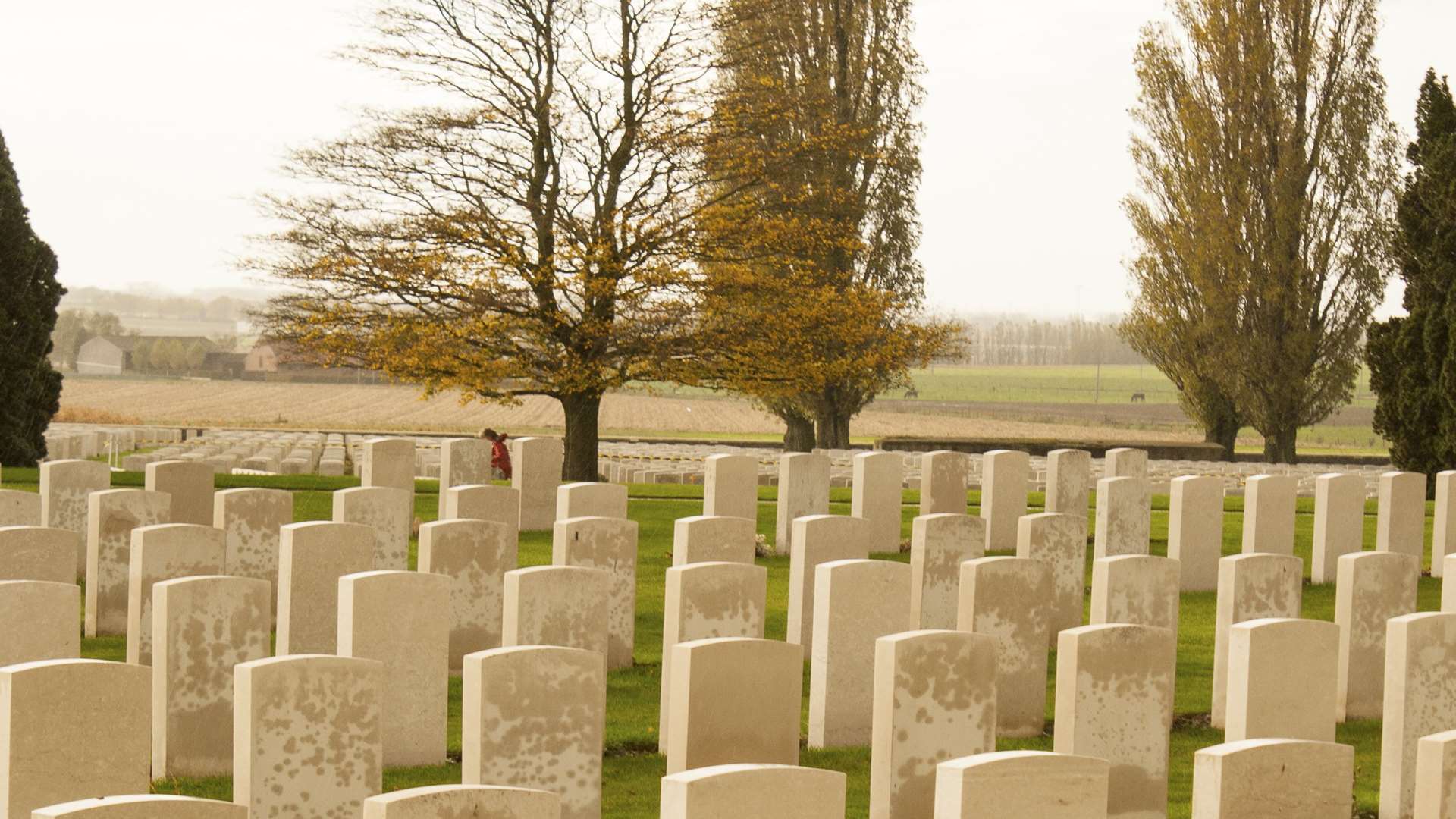Tyne Cot cemetery, where many of those who lost their lives in Passchendaele are buried.
