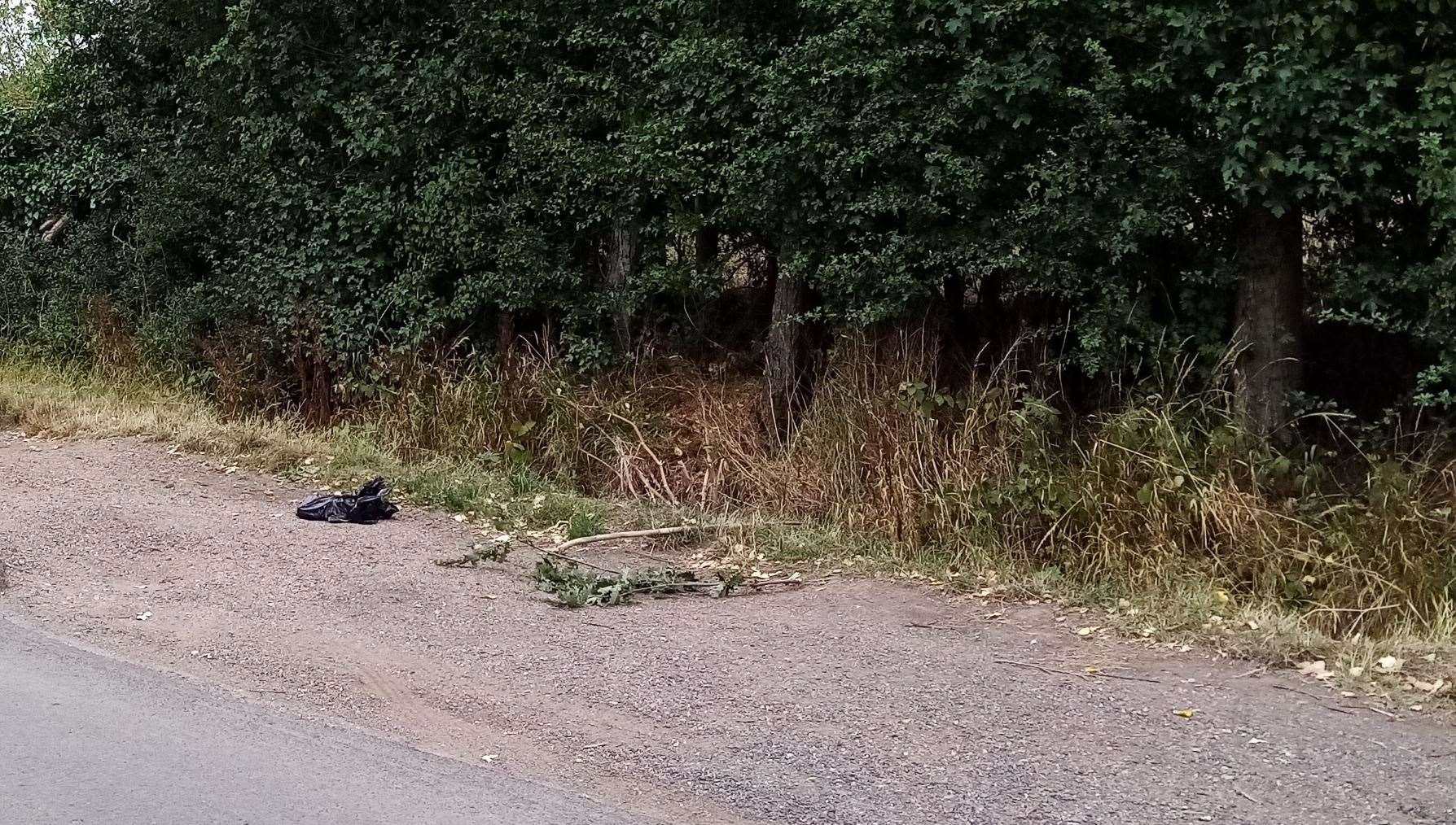 A dead dog was found wrapped in a plastic bag in Plain Road, Marden