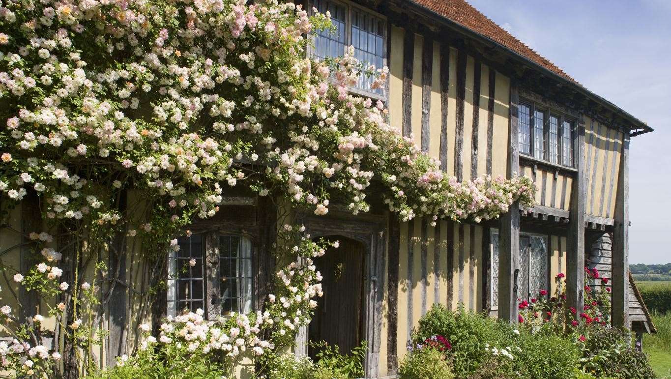Roses climbing over the early sixteenth-century Smallhythe Place
