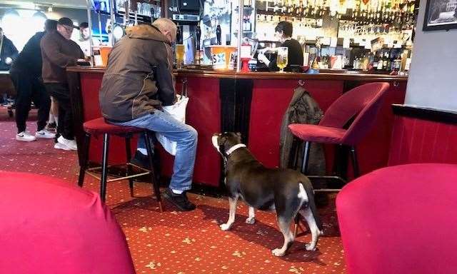 Four-legged faithful friend Lola is a regular in the Australian Arms and waited patiently while Jim searched for a sausage treat in his bag