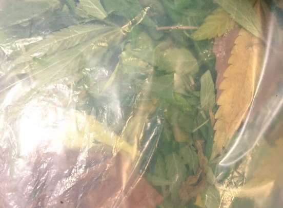 Kent Special Constabulary tweeted this picture of the bag of cannabis.