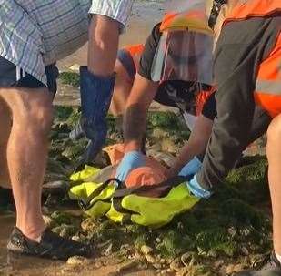 BDMLR volunteers rescuing the seal in Broadstairs this morning. Picture: Amber Wheeler