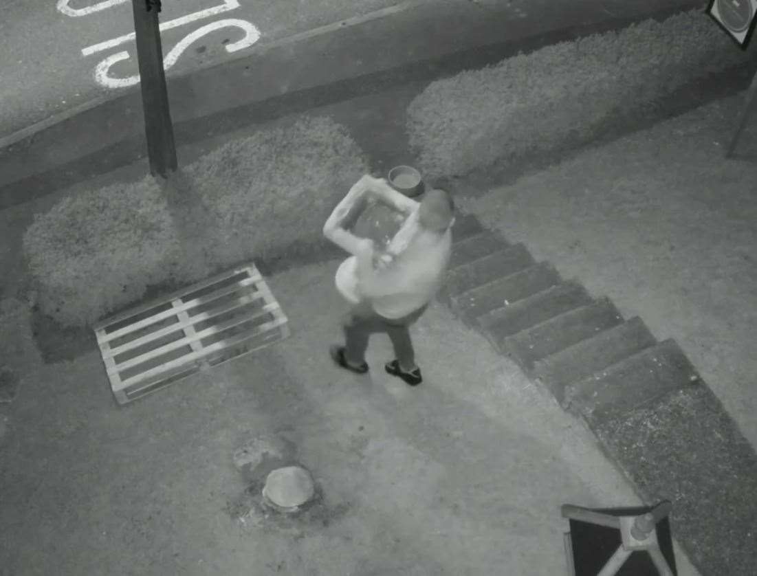 CCTV captures the moment a birdbath is stolen from the Wisteria Cat Rescue centre in Walderslade by a thief