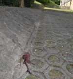 Blood-stained road after hammer attack