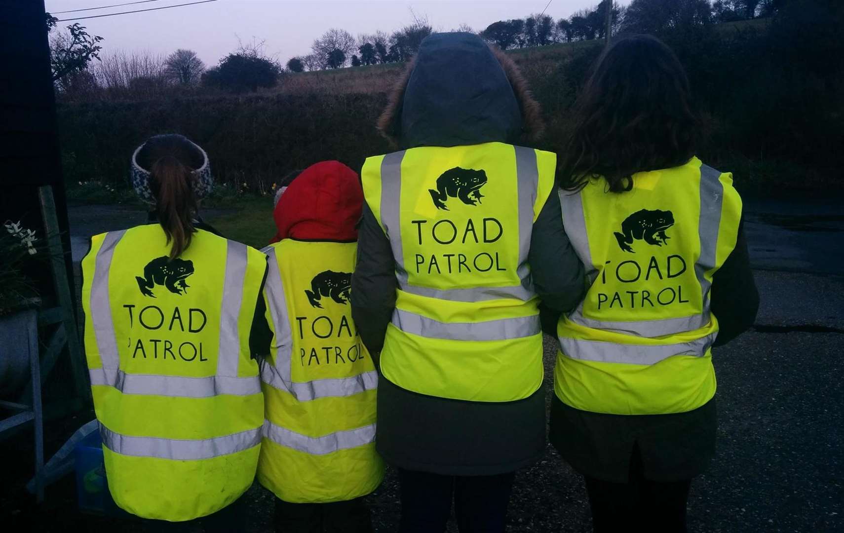Toad patrollers Picture: Amy Wright