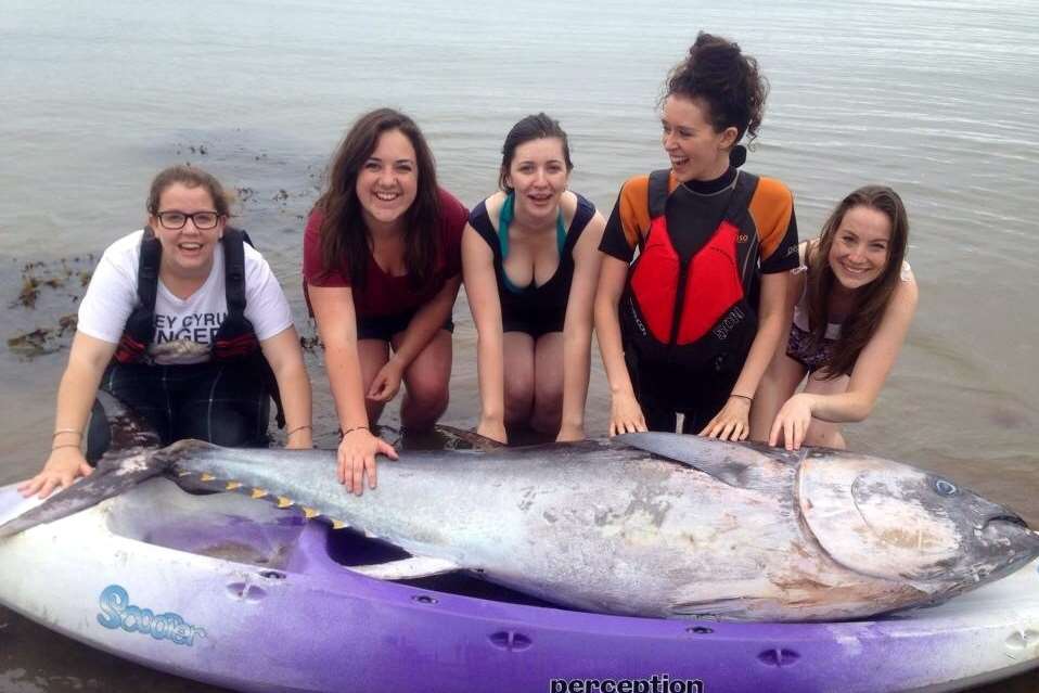 The group of girls from Oxford Brookes University were on a reunion weekend in Cornwall when they discovered the endangered species