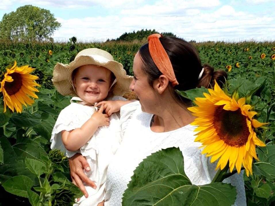 Bring summer into your home with the sunflower picking at Maze Moon in Rainham or Maidstone. Picture: Maze Moon