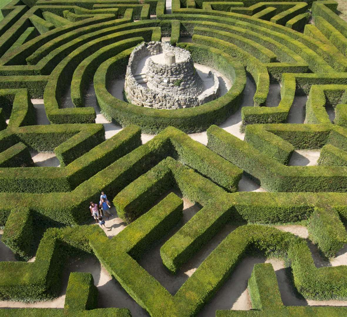 Leeds Castle's maze is 30. Picture: Pete Seaward